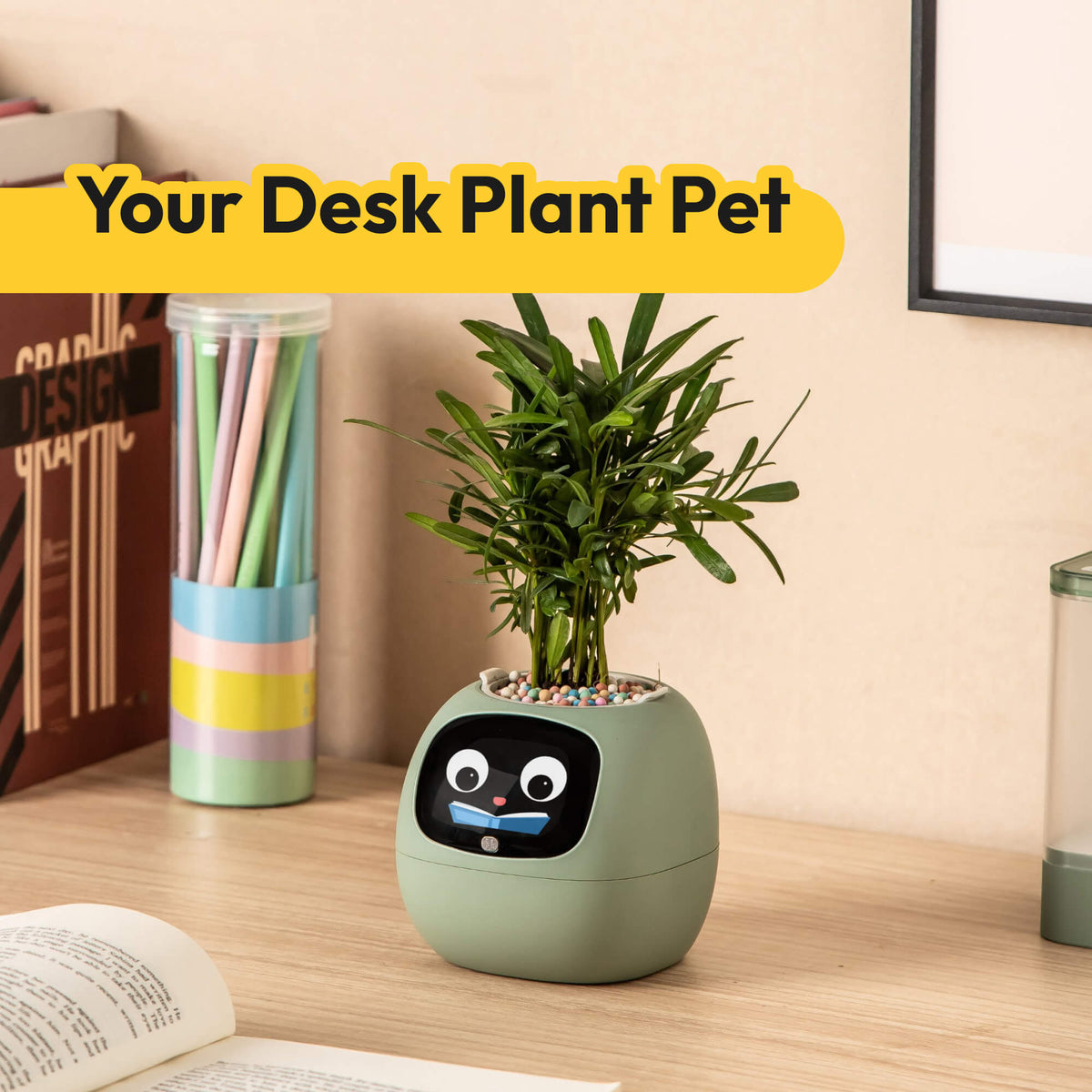 Ivy Desk Plant Pet