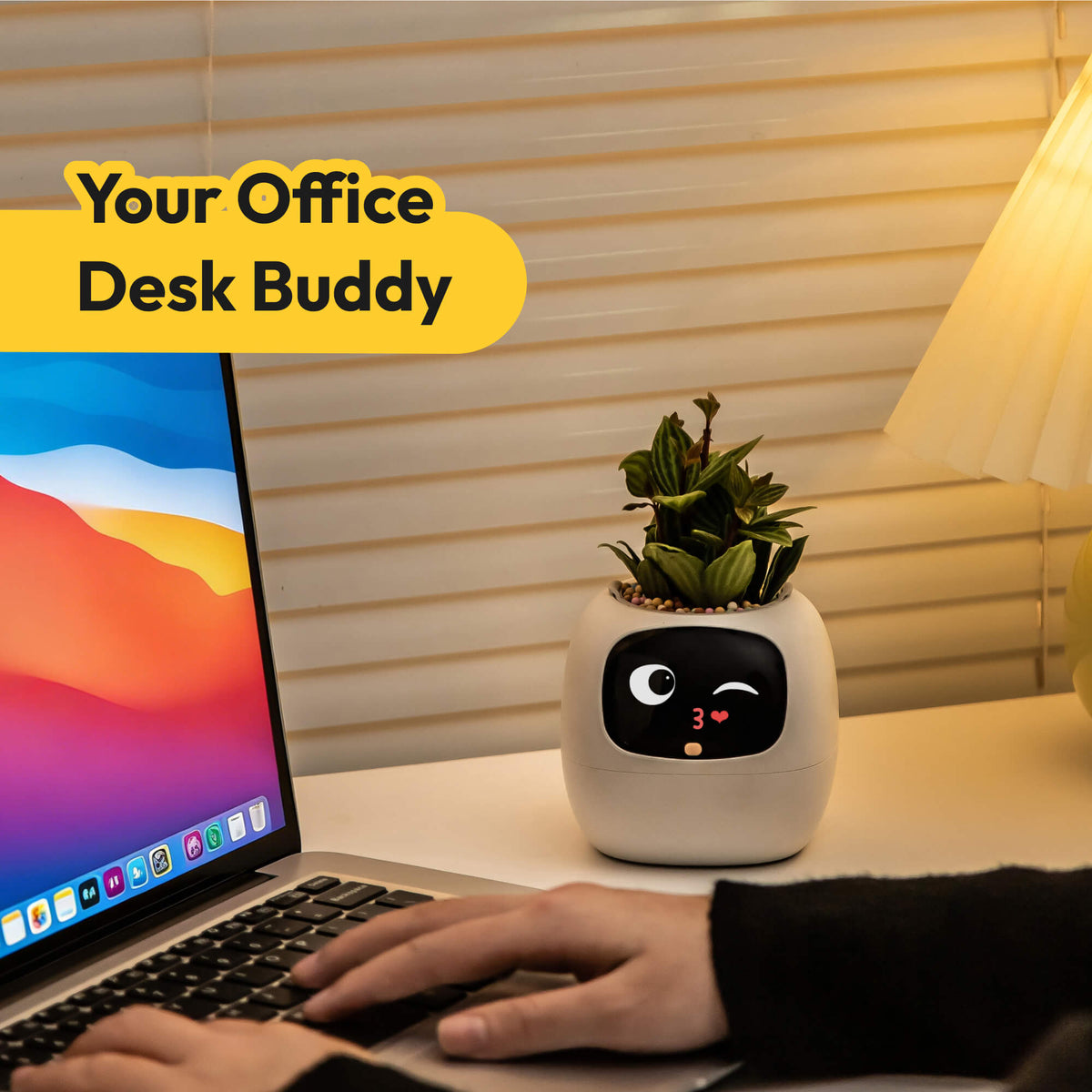 Ivy Desk Plant Pet