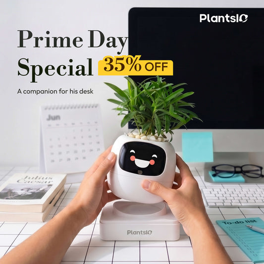 Smart Ai Flower Pot