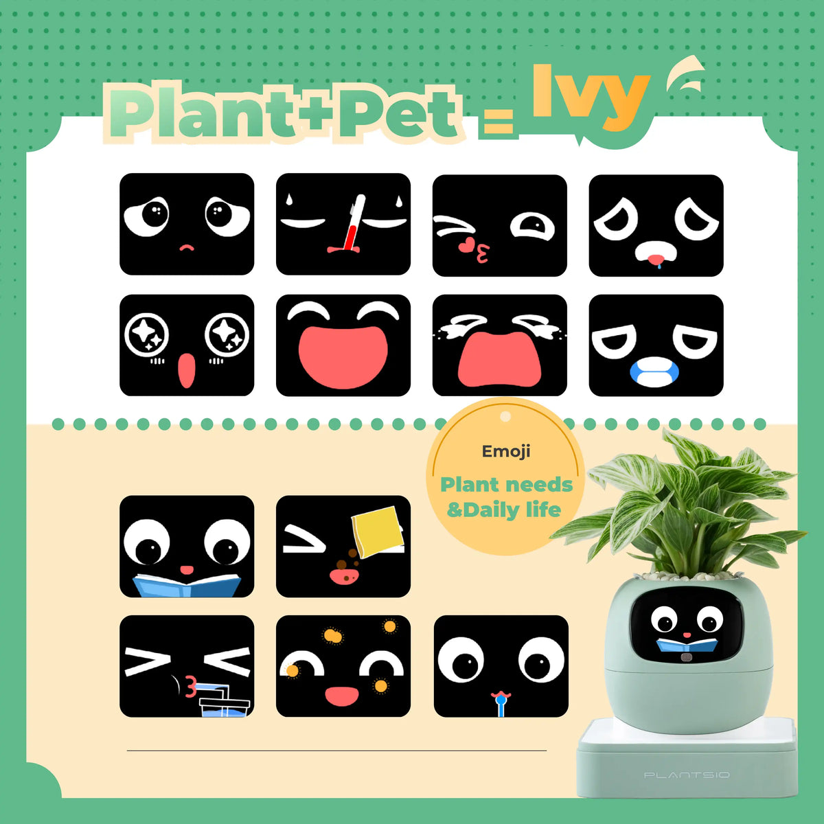 Ivy Desk Plant Pet