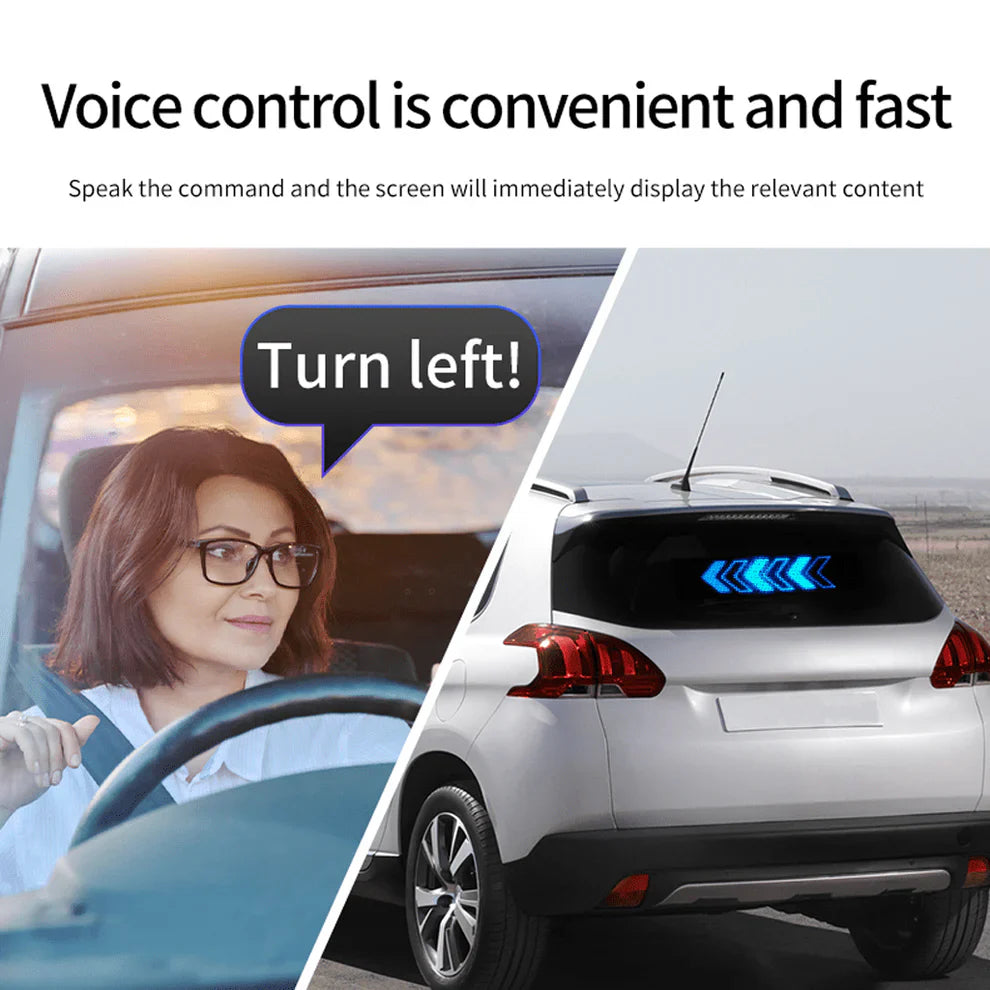 Programmable Light with APP+ Remote Control